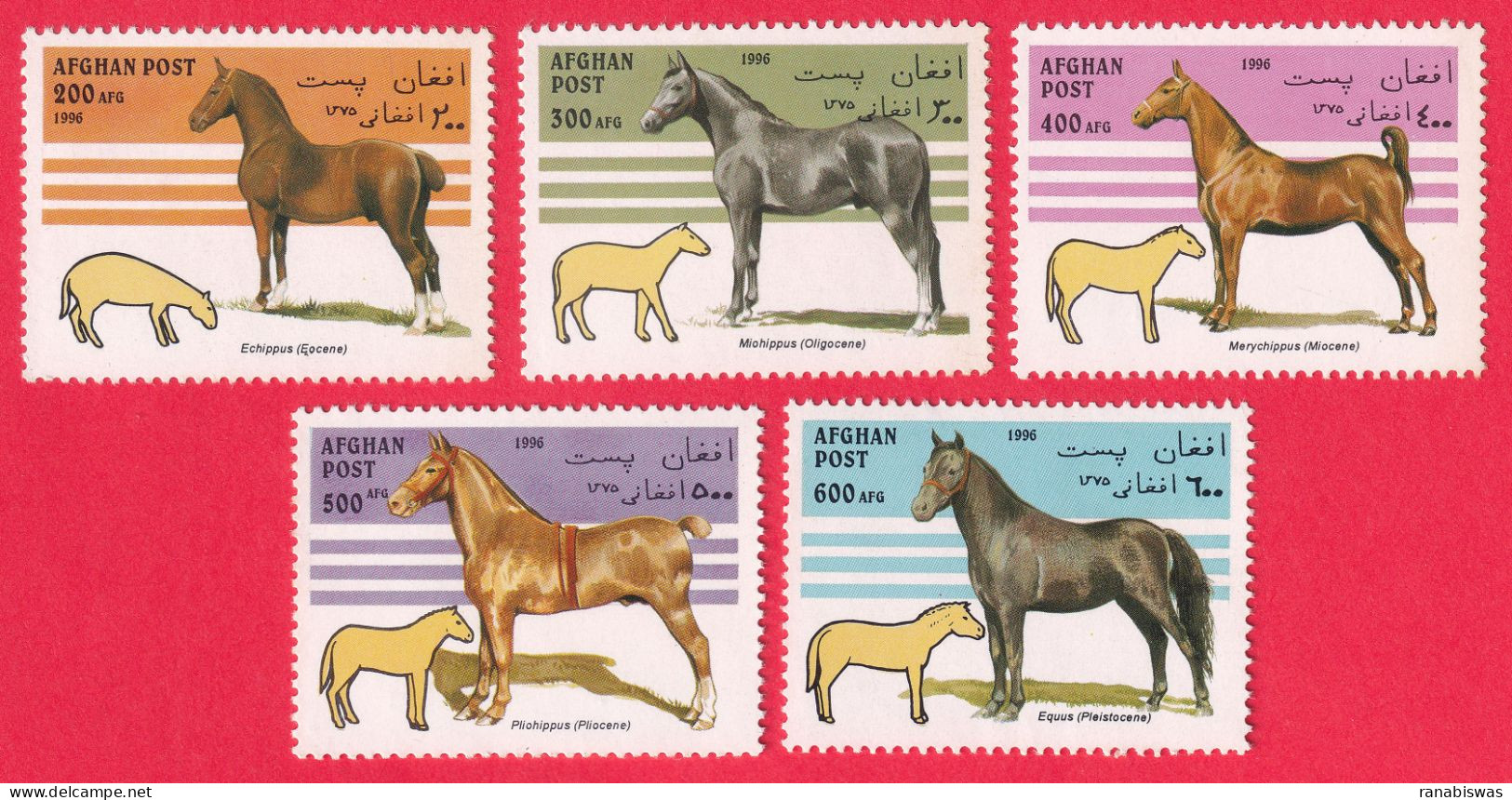 AFGHANISTAN STAMPS 1996, SET OF 5, HORSES, MNH - Afghanistan