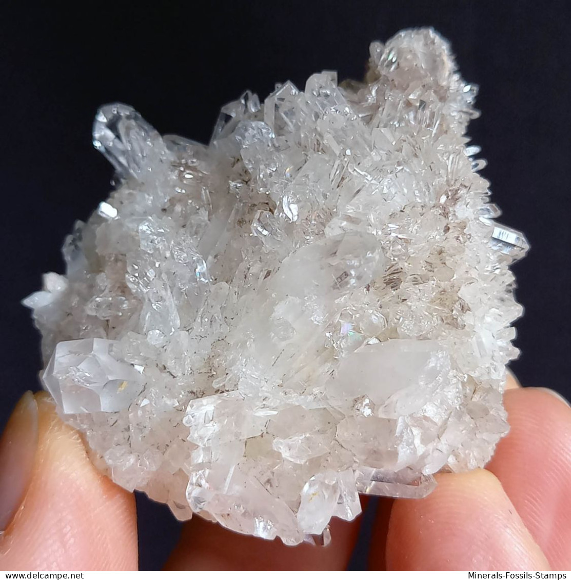 #F56 Splendido QUARZO XX Centro Geode (Castagnola, Val D'aveto, Piacenza, Italia) - Minerali