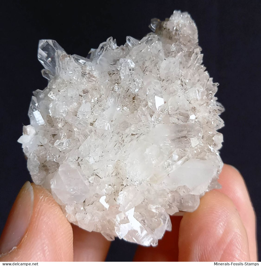 #F56 Splendido QUARZO XX Centro Geode (Castagnola, Val D'aveto, Piacenza, Italia) - Minerali