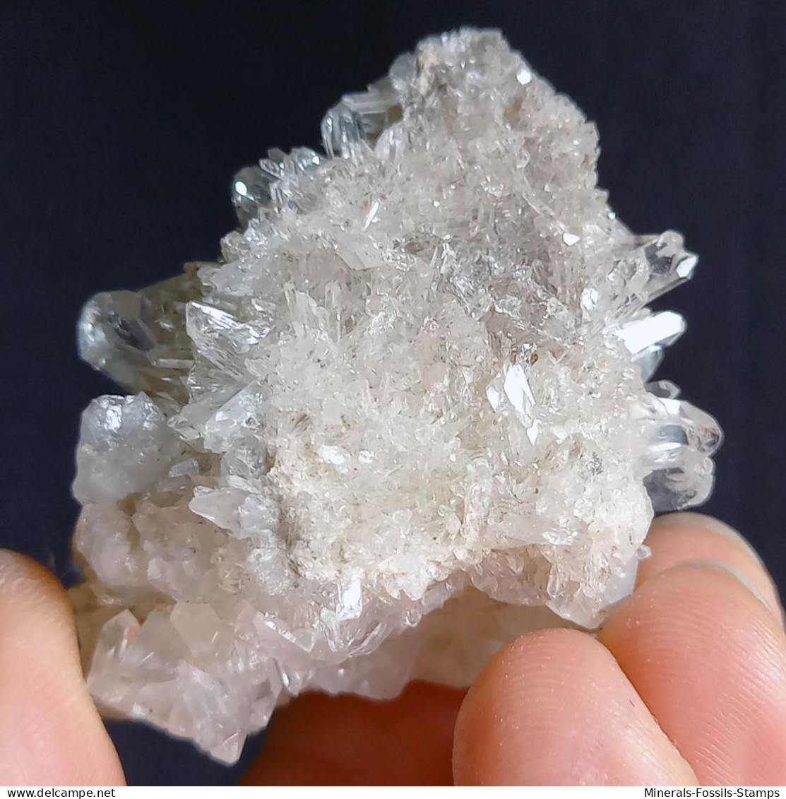 #F56 Splendido QUARZO XX Centro Geode (Castagnola, Val D'aveto, Piacenza, Italia) - Mineralien