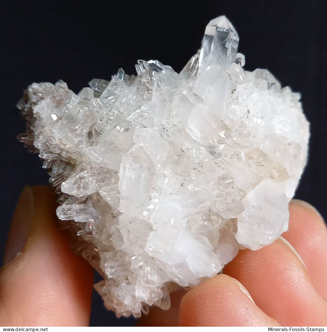 #F56 Splendido QUARZO XX Centro Geode (Castagnola, Val D'aveto, Piacenza, Italia) - Mineralen