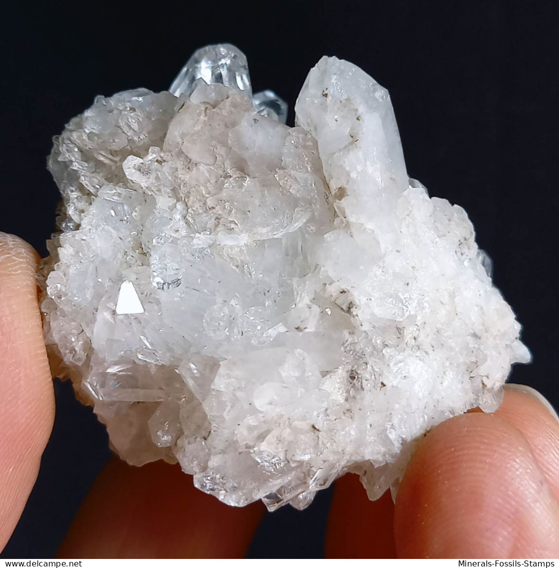 #F56 Splendido QUARZO XX centro geode (Castagnola, Val D'aveto, Piacenza, Italia)