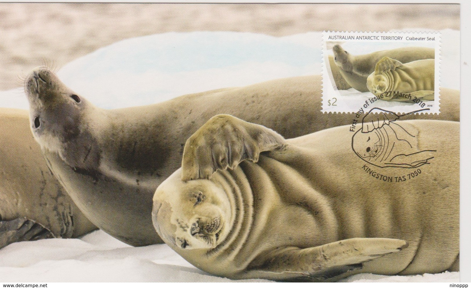 Australian Antarctic Territory 2018 Crabeater Seal,group Of Seals,maximum Card, - Maximum Cards