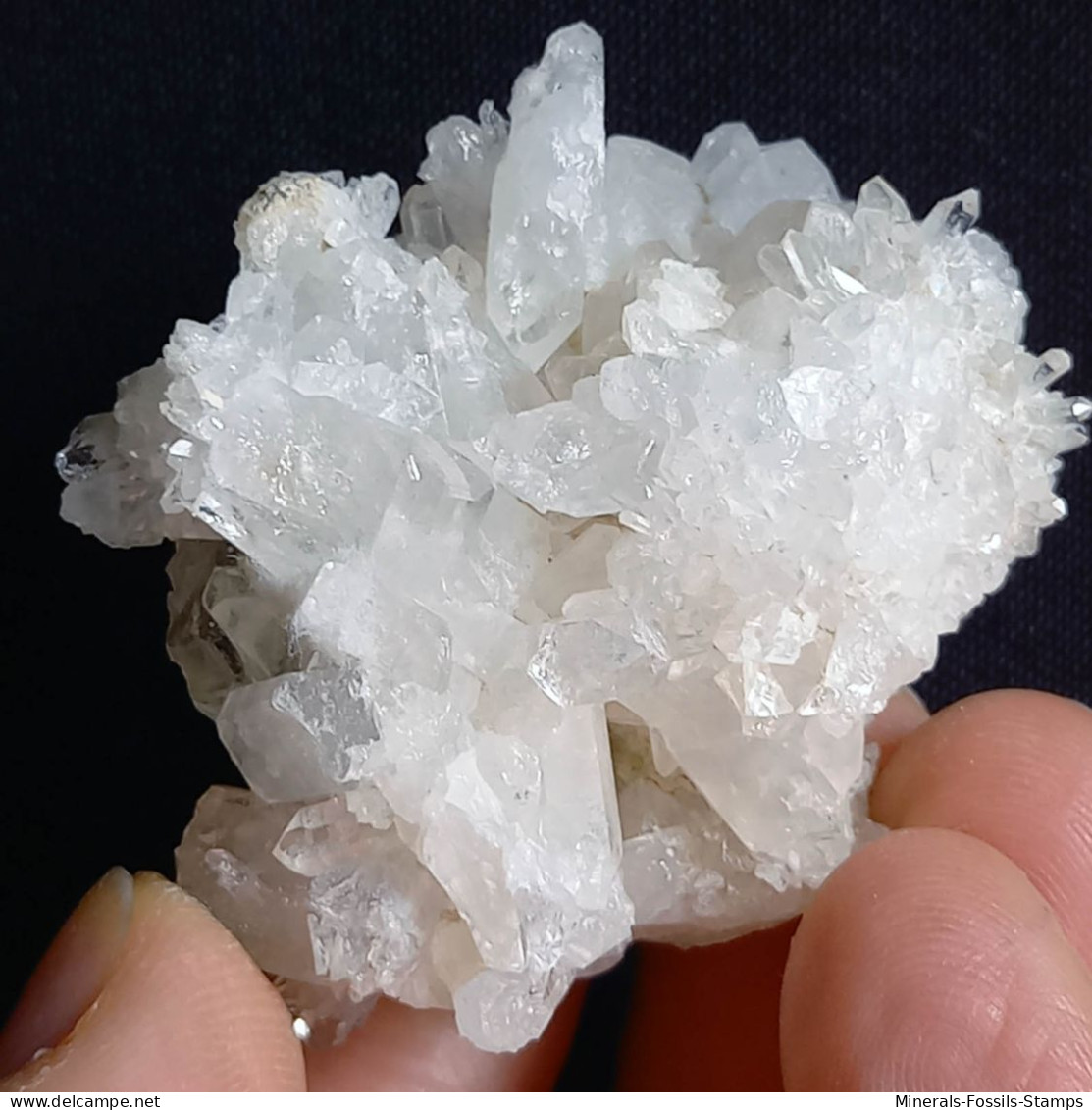 #F57 Splendido QUARZO XX Centro Geode (Castagnola, Val D'Aveto, Piacenza, Italia) - Mineralen