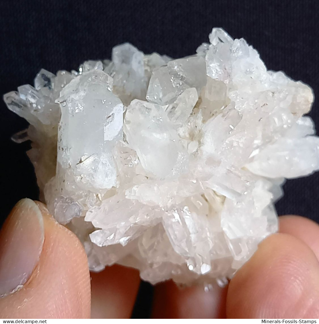 #F57 Splendido QUARZO XX Centro Geode (Castagnola, Val D'Aveto, Piacenza, Italia) - Mineralen