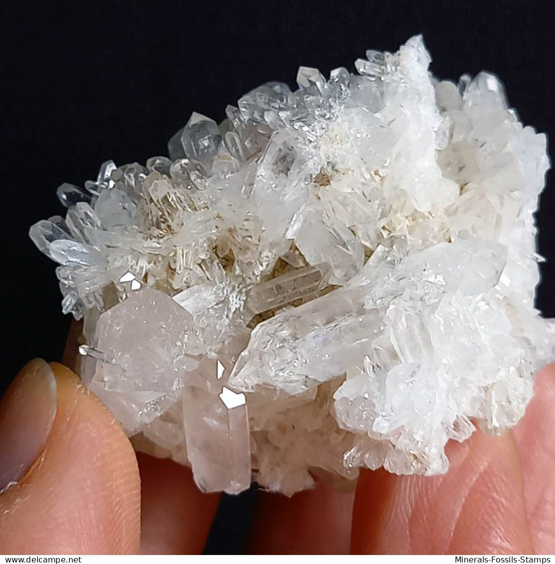 #F57 Splendido QUARZO XX Centro Geode (Castagnola, Val D'Aveto, Piacenza, Italia) - Mineralien