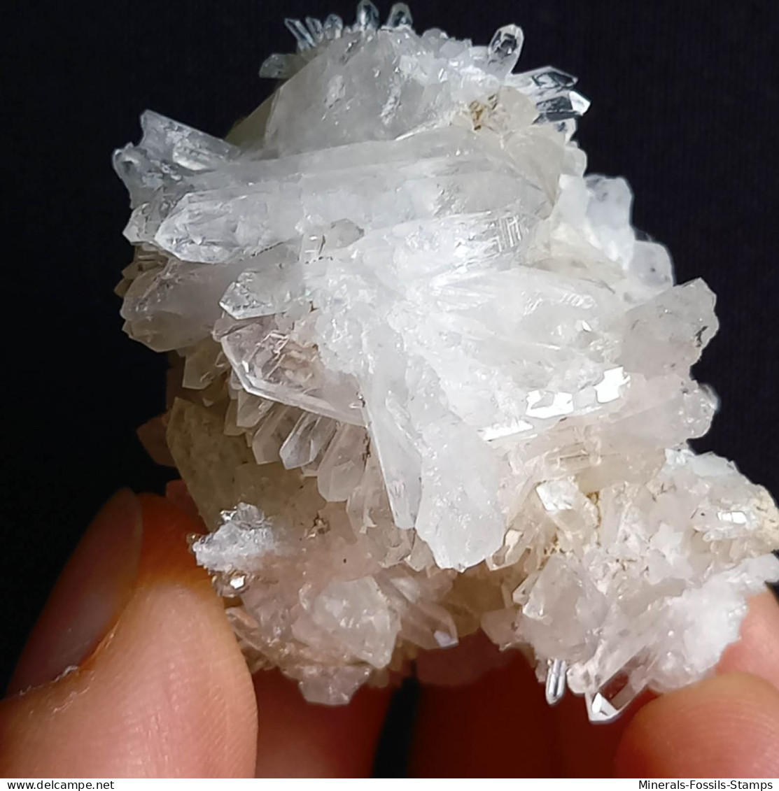 #F57 Splendido QUARZO XX Centro Geode (Castagnola, Val D'Aveto, Piacenza, Italia) - Mineralien