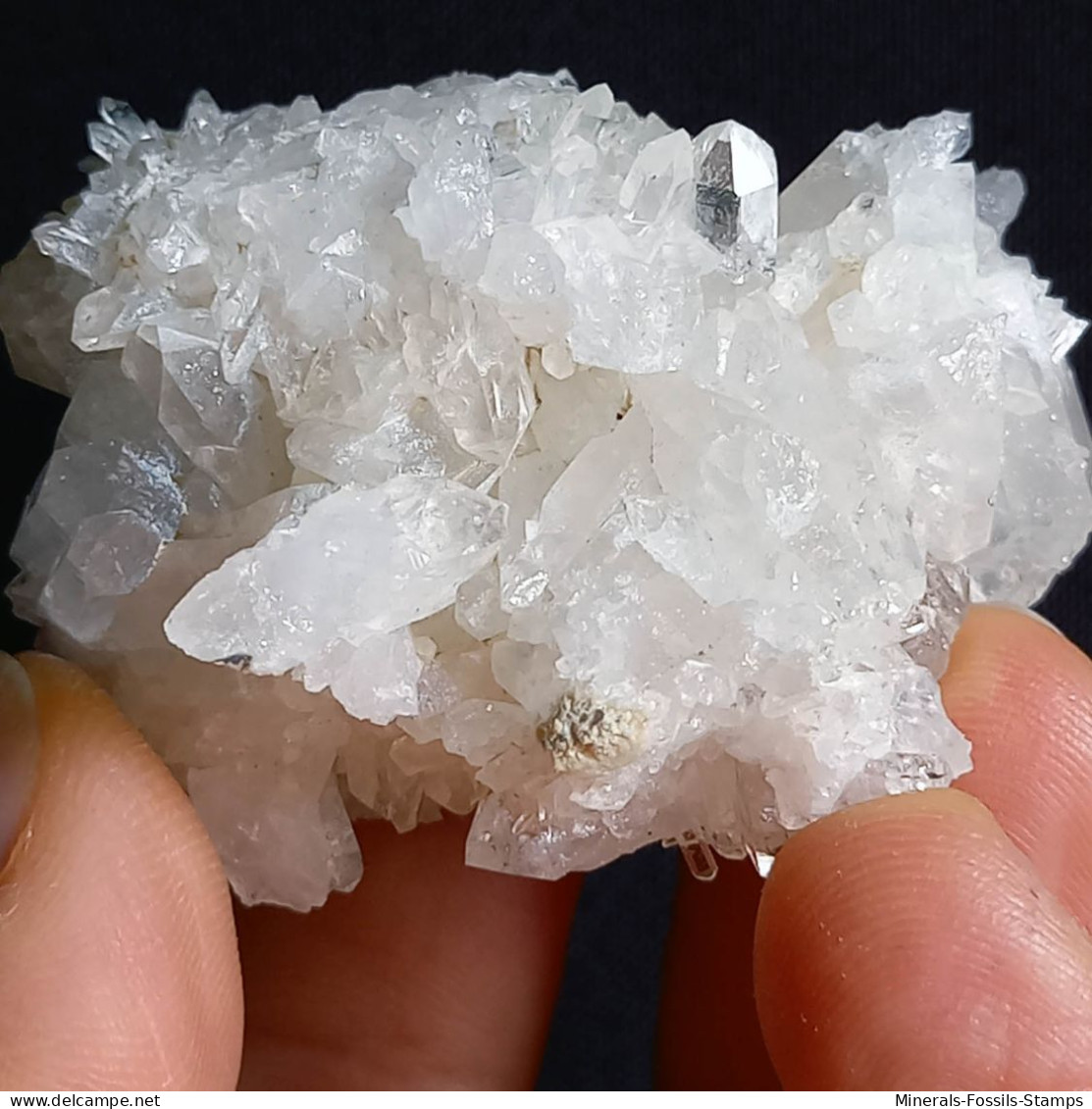 #F57 Splendido QUARZO XX Centro Geode (Castagnola, Val D'Aveto, Piacenza, Italia) - Minerali