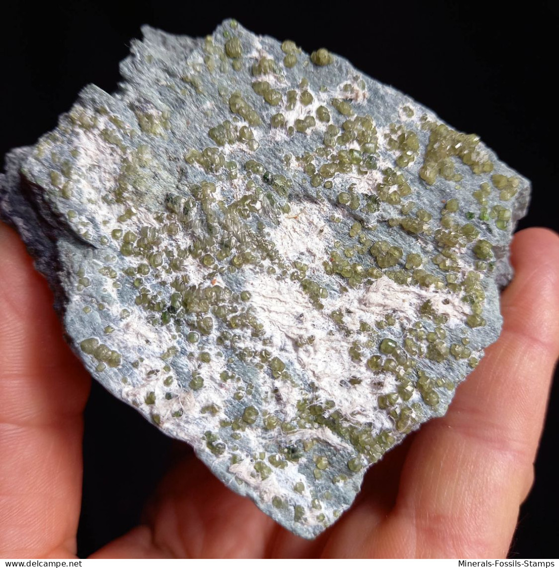 #G70 Andradit Granat Var. DEMANTOID Kristalle (Val Malenco, Sondrio, Italien) - Minerals