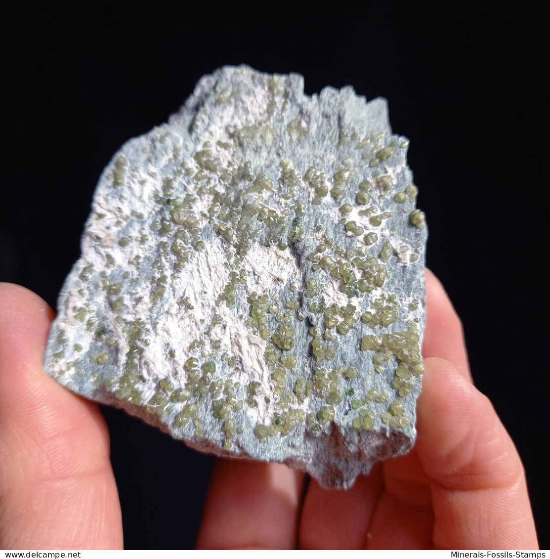 #G70 Andradit Granat Var. DEMANTOID Kristalle (Val Malenco, Sondrio, Italien) - Minerali