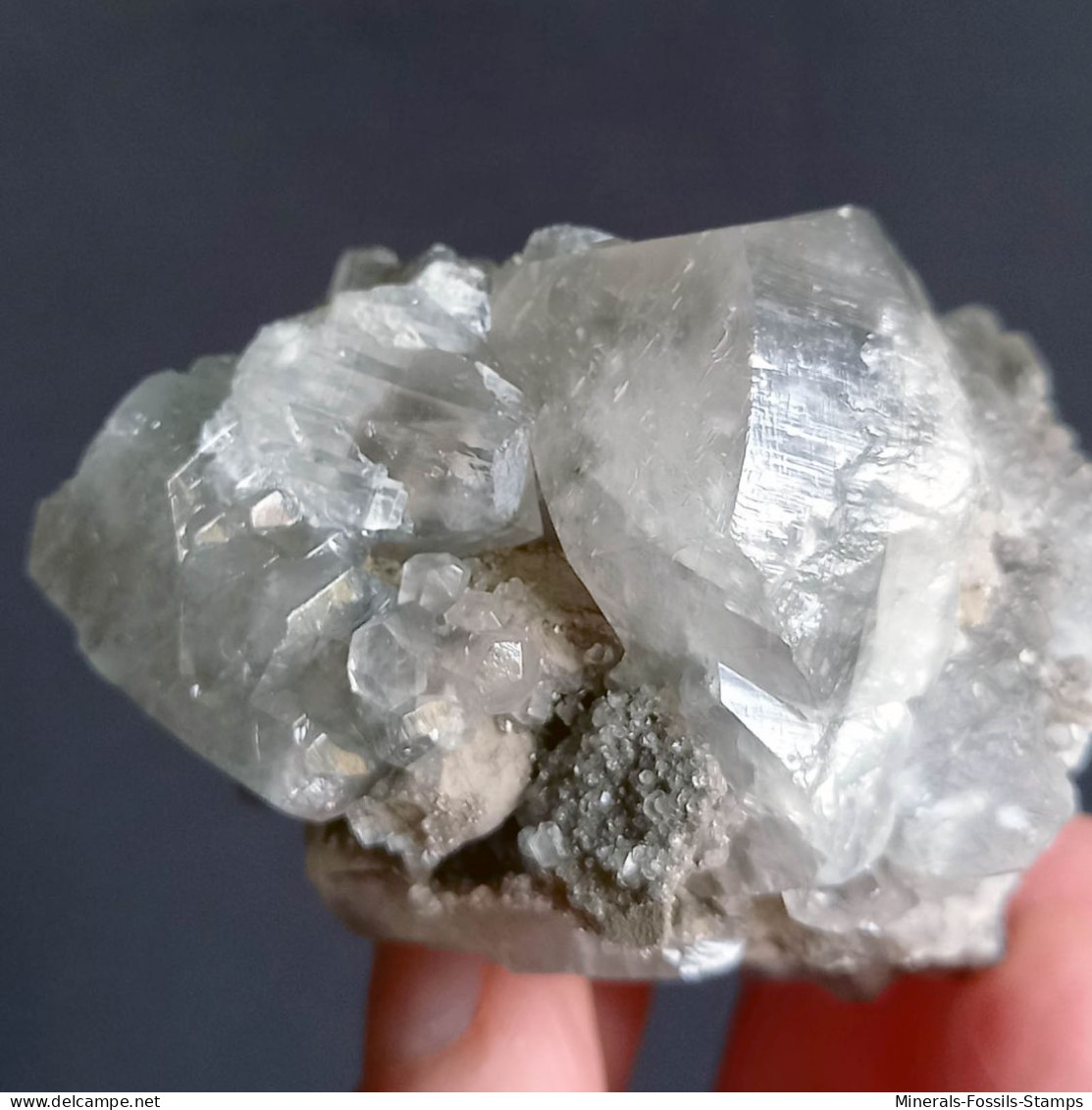 #G71 - Beaux cristaux de CALCITE (Molassana, Val Bisagno, Ligurie, Italie)
