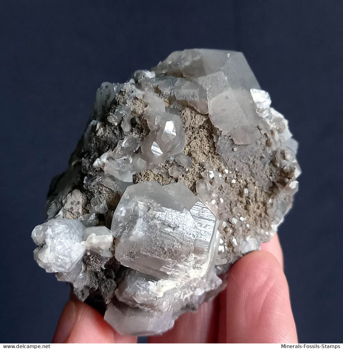 #G71 - Beaux cristaux de CALCITE (Molassana, Val Bisagno, Ligurie, Italie)
