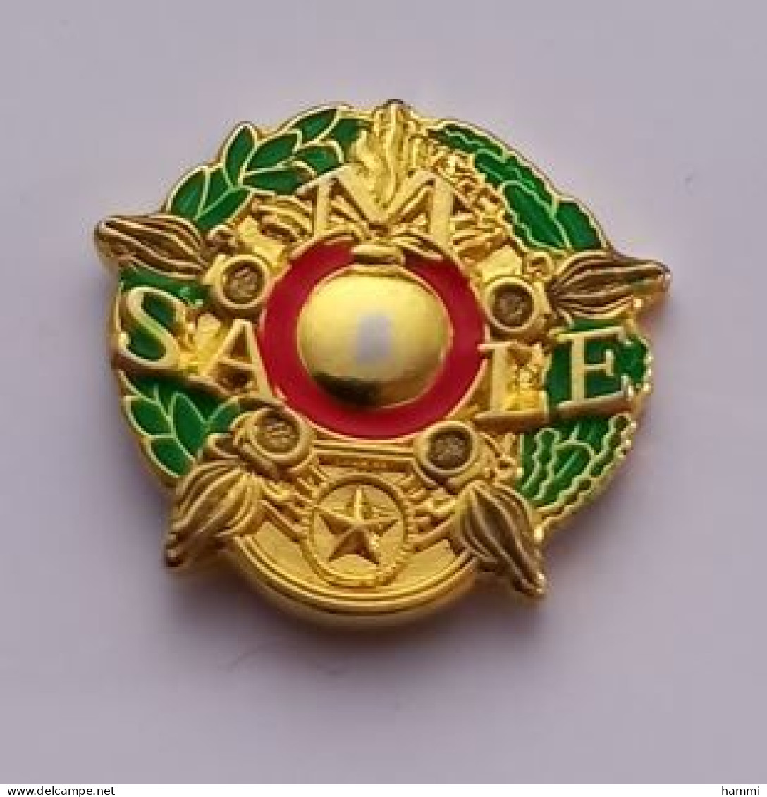 P12 Pin's Armée Militaire SA M LE Régiment ?? Achat Immédiat - Militaria