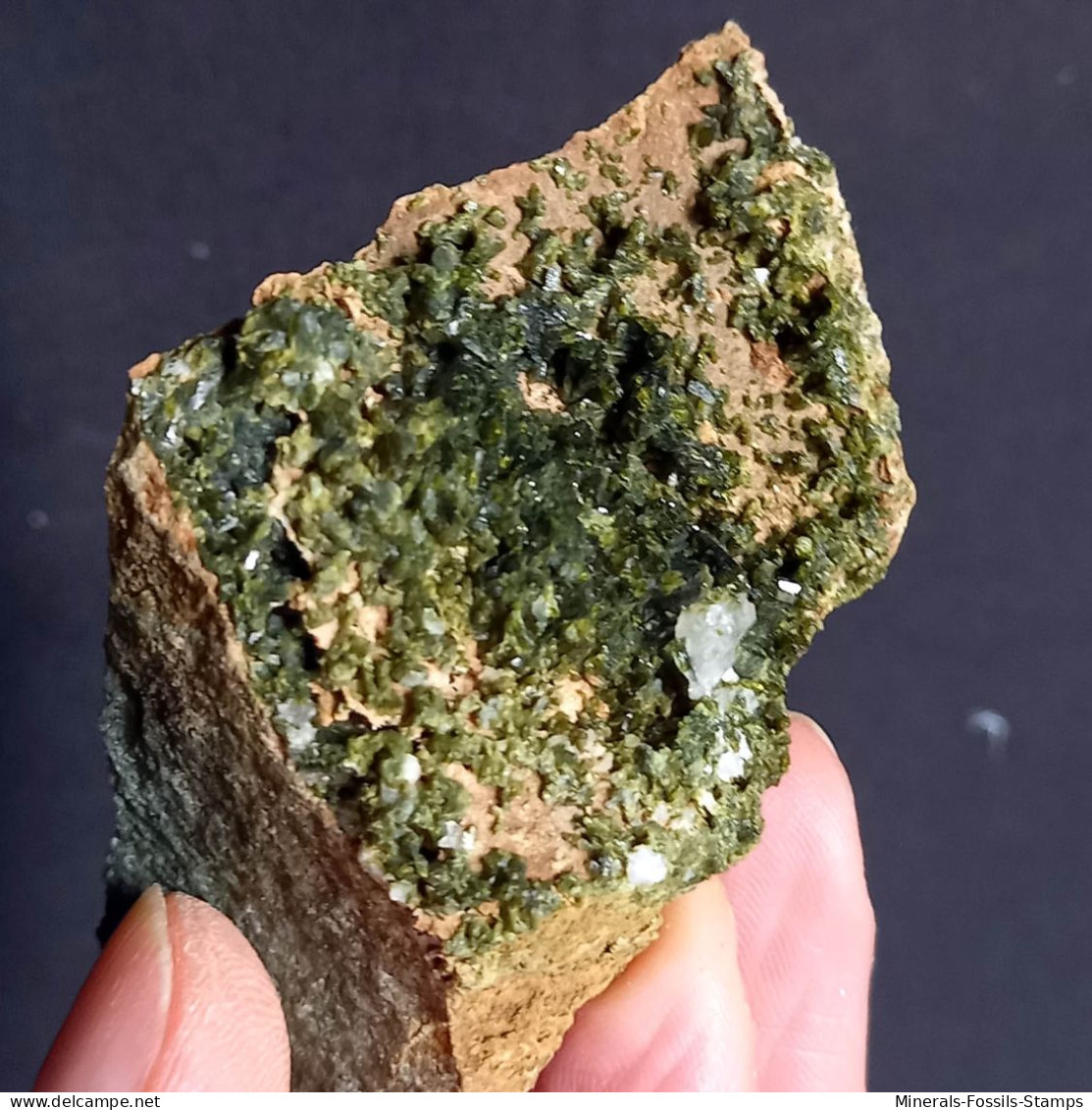 #G74 – Schöne EPIDOT Kristalle (Nascio, Val Graveglia, Ne, Genua, Ligurien, Italien) - Minerals