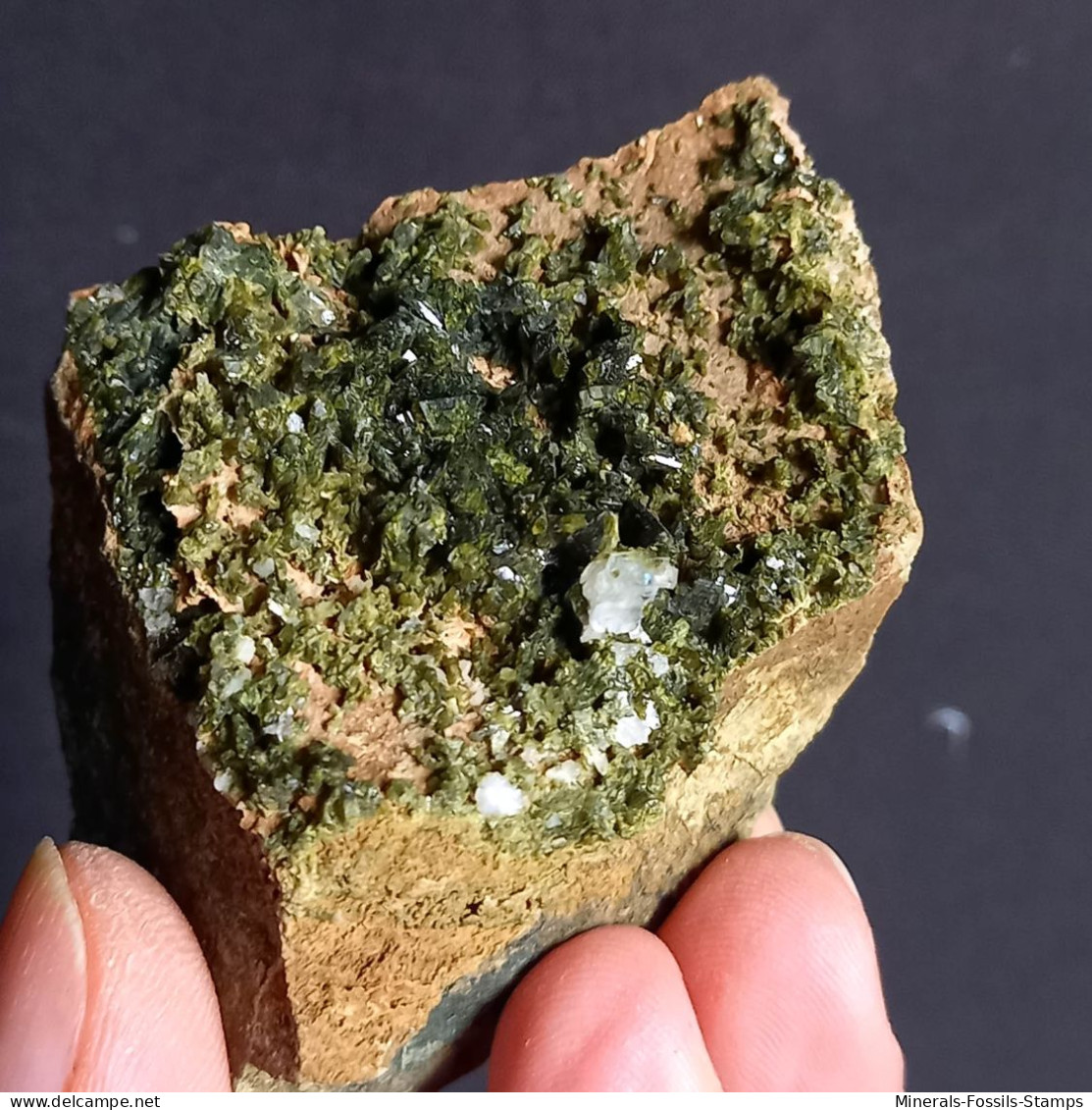 #G74 – Schöne EPIDOT Kristalle (Nascio, Val Graveglia, Ne, Genua, Ligurien, Italien) - Mineralen