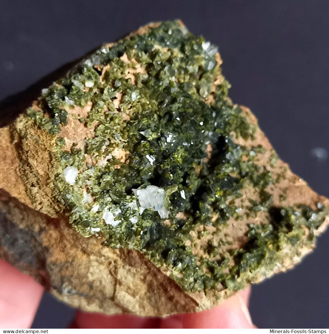 #G74 – Schöne EPIDOT Kristalle (Nascio, Val Graveglia, Ne, Genua, Ligurien, Italien) - Minerals