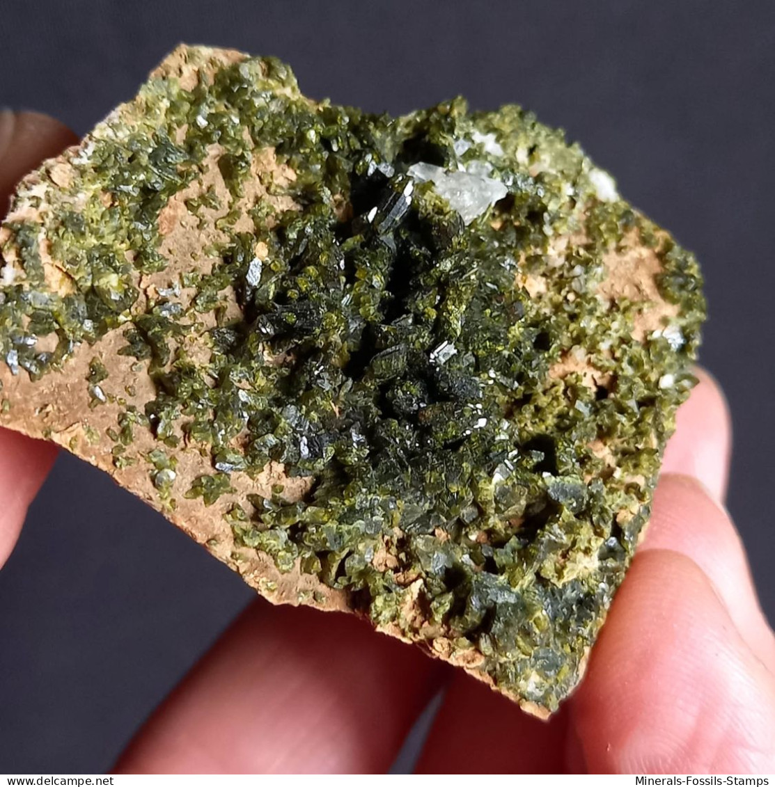 #G74 – Schöne EPIDOT Kristalle (Nascio, Val Graveglia, Ne, Genua, Ligurien, Italien) - Minerales