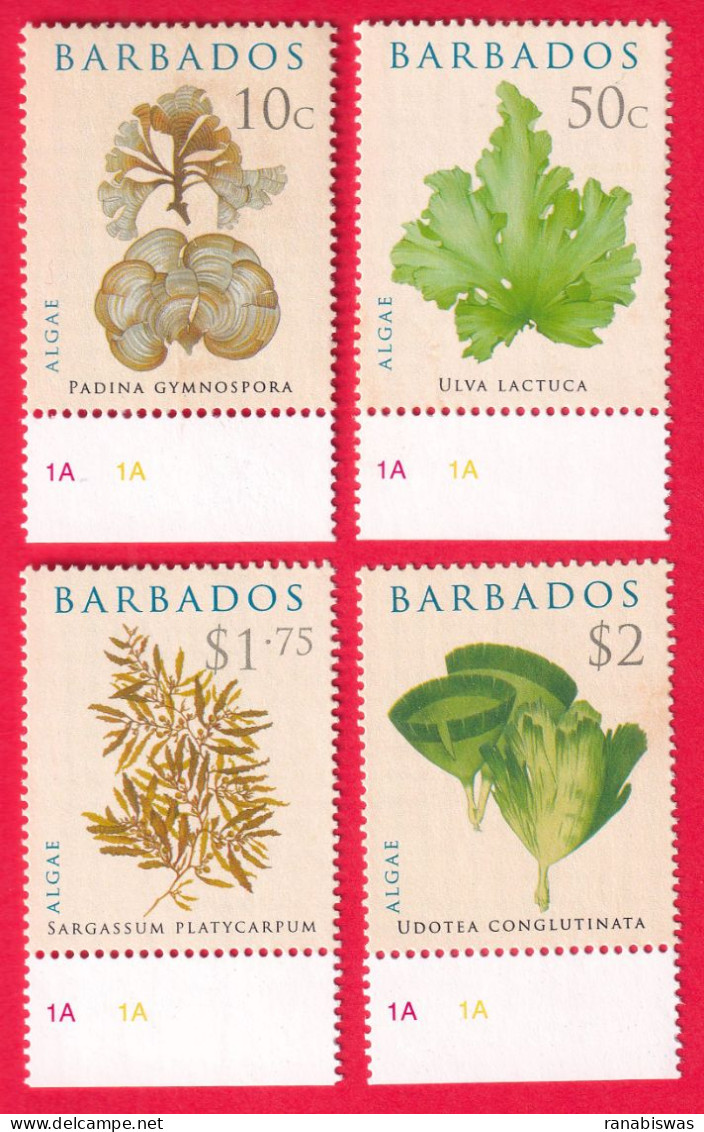 BARBADOS STAMPS, SET OF 4, FLORA, MNH - Barbados (1966-...)