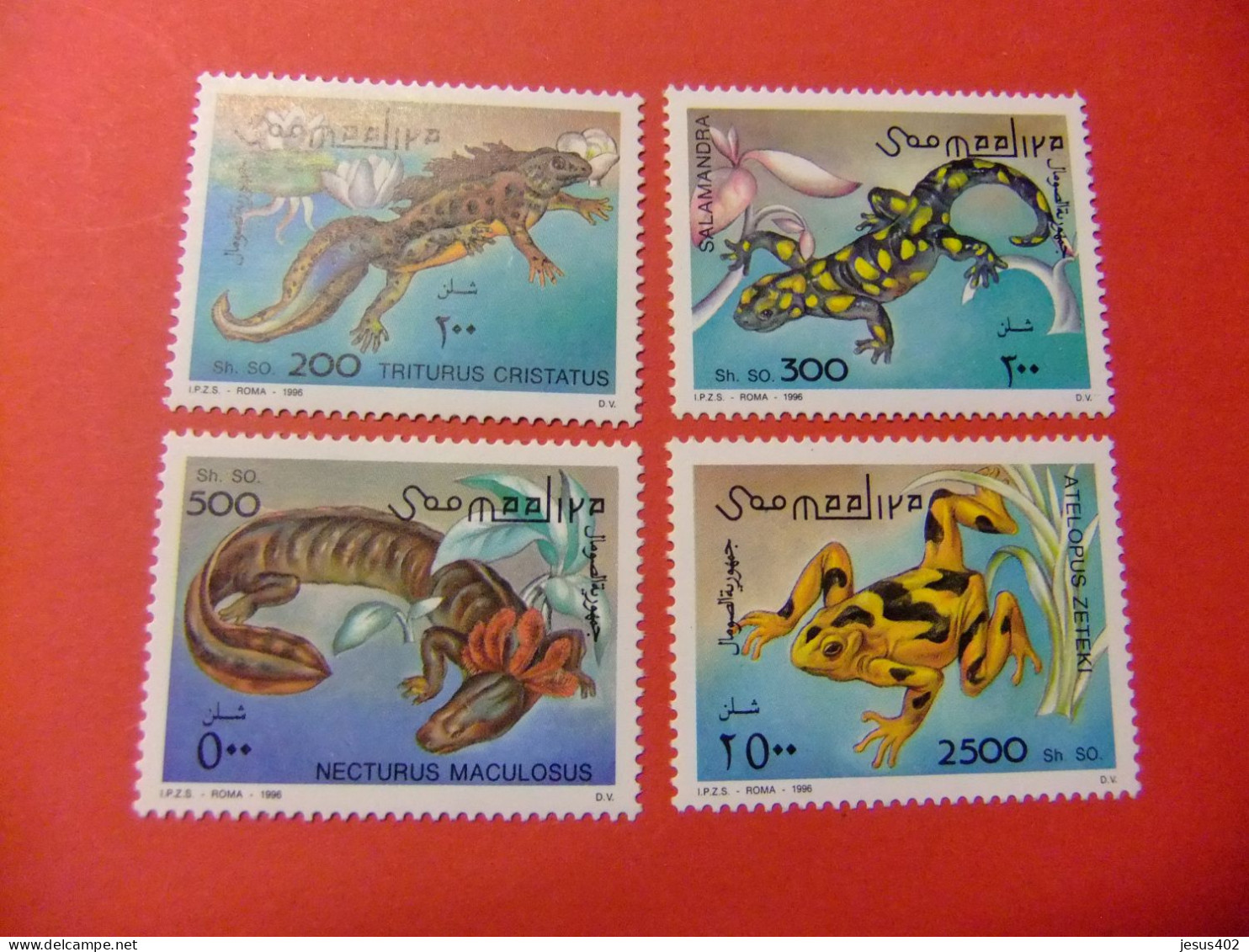 51 SOMALIE REPUBLICA SOMALIA 1996 FAUNA ANFIBIOS YVERT 512 /515 ** MNH - Somalie (1960-...)