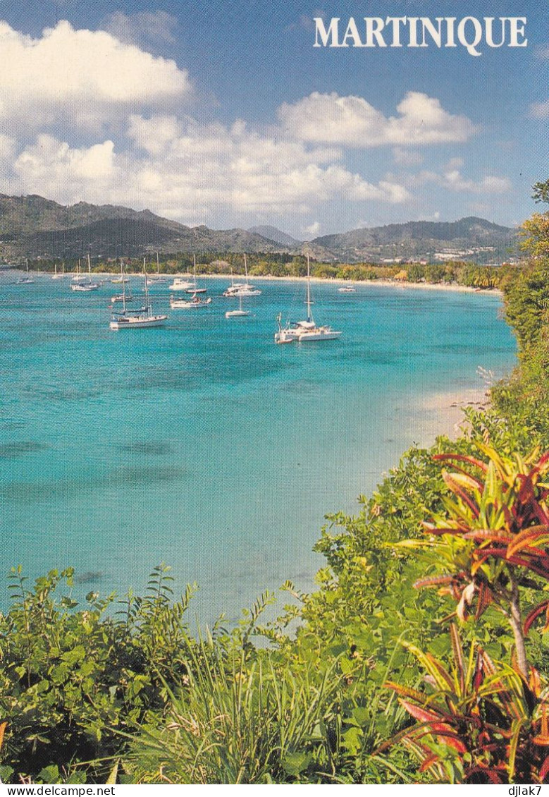 Martinique Sainte Anne Sa Plage - Le Marin
