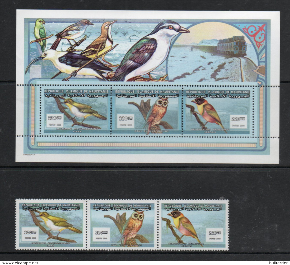 BIRDS - MAURITANIA - 2000 - BIRDS STRIP OF 3 + SOUVENIR SHEET  MINT NEVER HINGED, - Pigeons & Columbiformes