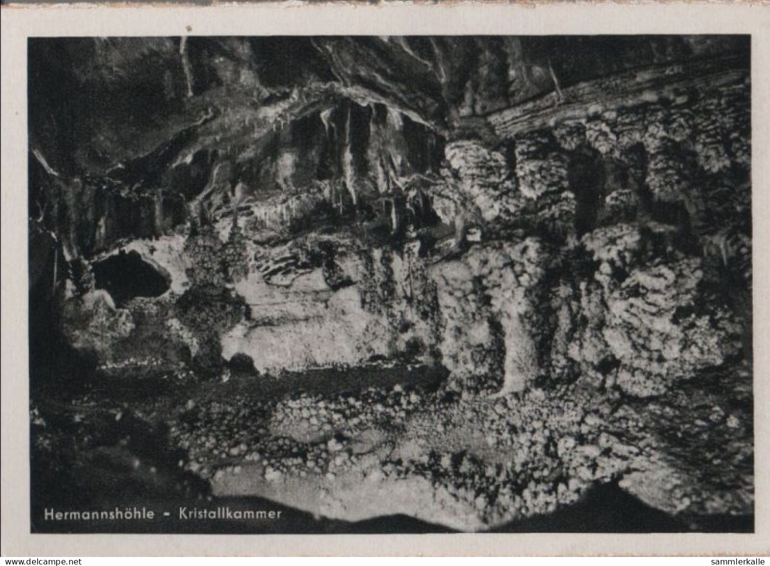 53744 - Oberharz-Rübeland - Hermannshöhle, Kristallkammer - 1959 - Halberstadt