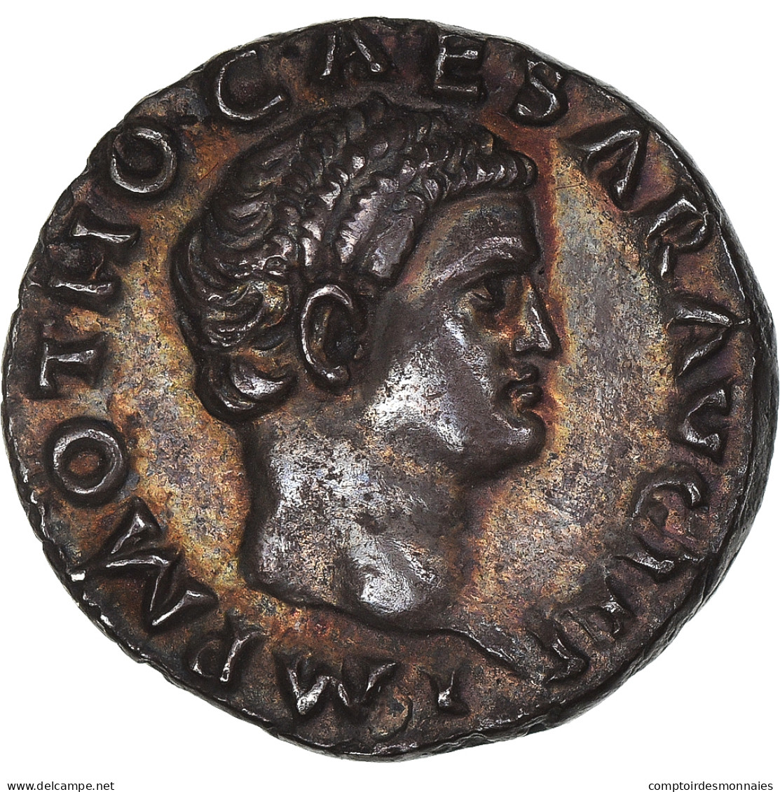 Othon, Denier, 69, Rome, Argent, NGC, AU 5/5 3/5, RIC:8 - La Dinastía Flavia (69 / 96)