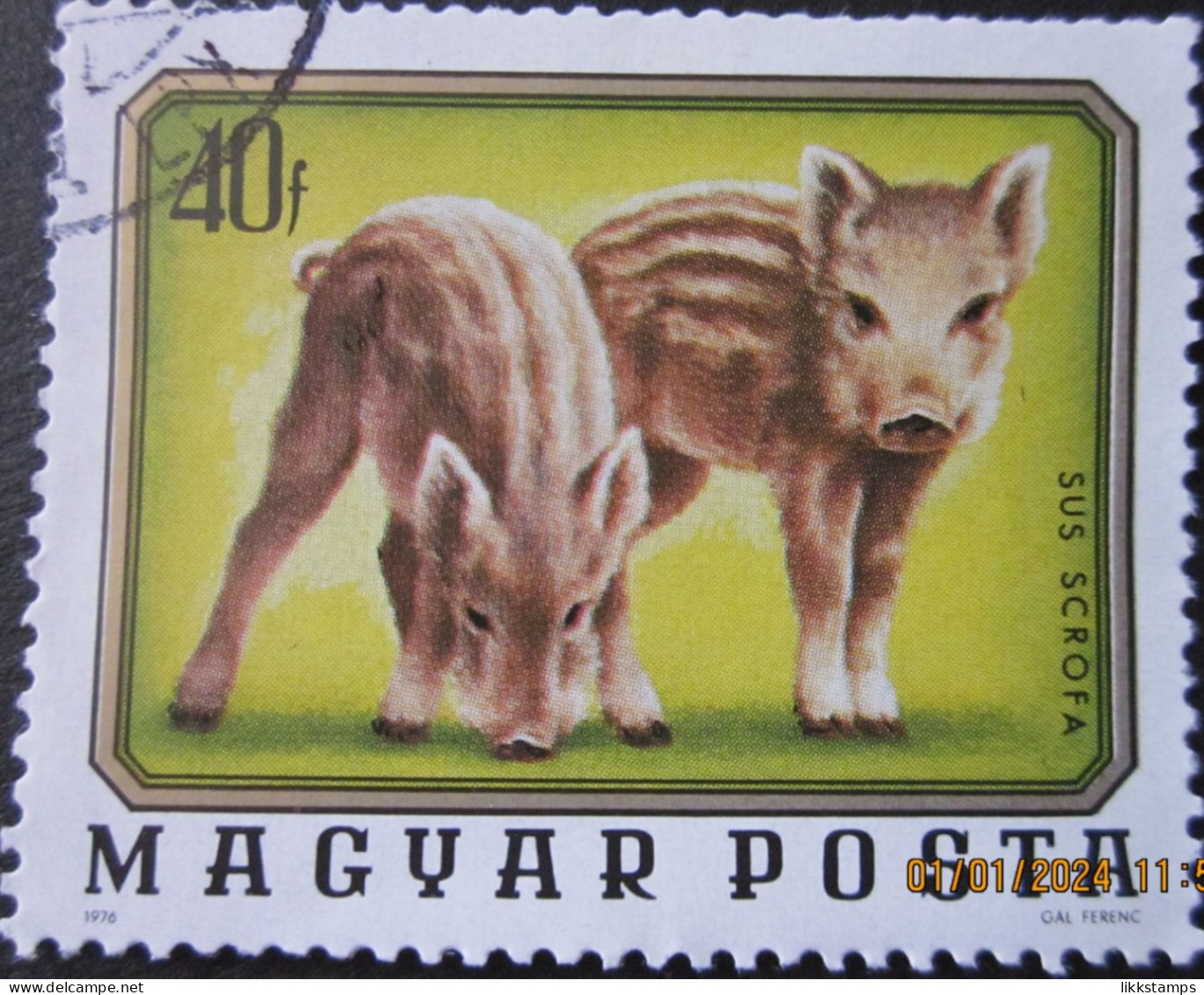 HUNGARY ~ 1976 ~ S.G. NUMBER 3014, ~ YOUNG ANIMALS. ~ VFU #01887 - Usati