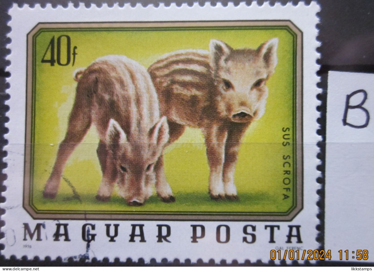 HUNGARY ~ 1976 ~ S.G. NUMBER 3014, ~ 'LOT B' ~ YOUNG ANIMALS. ~ VFU #02079 - Used Stamps