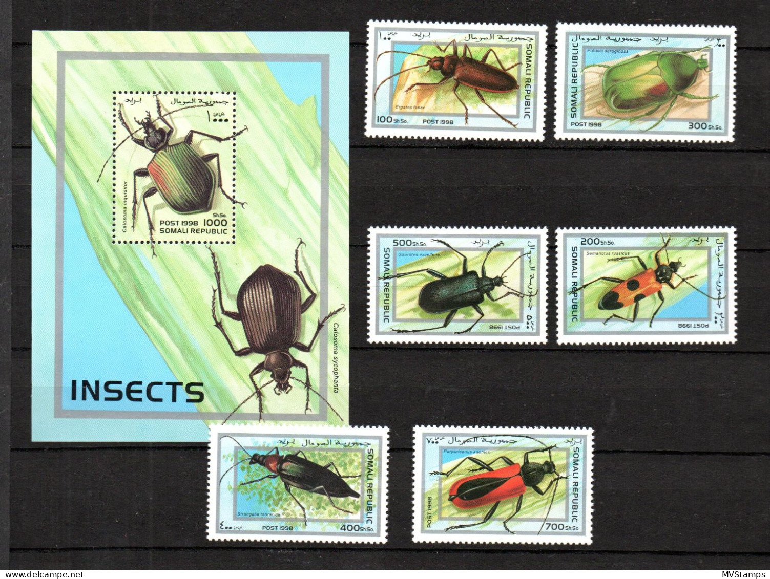 Somalia 1998 Set Insects/Beatles Nice MNH - Somalie (1960-...)