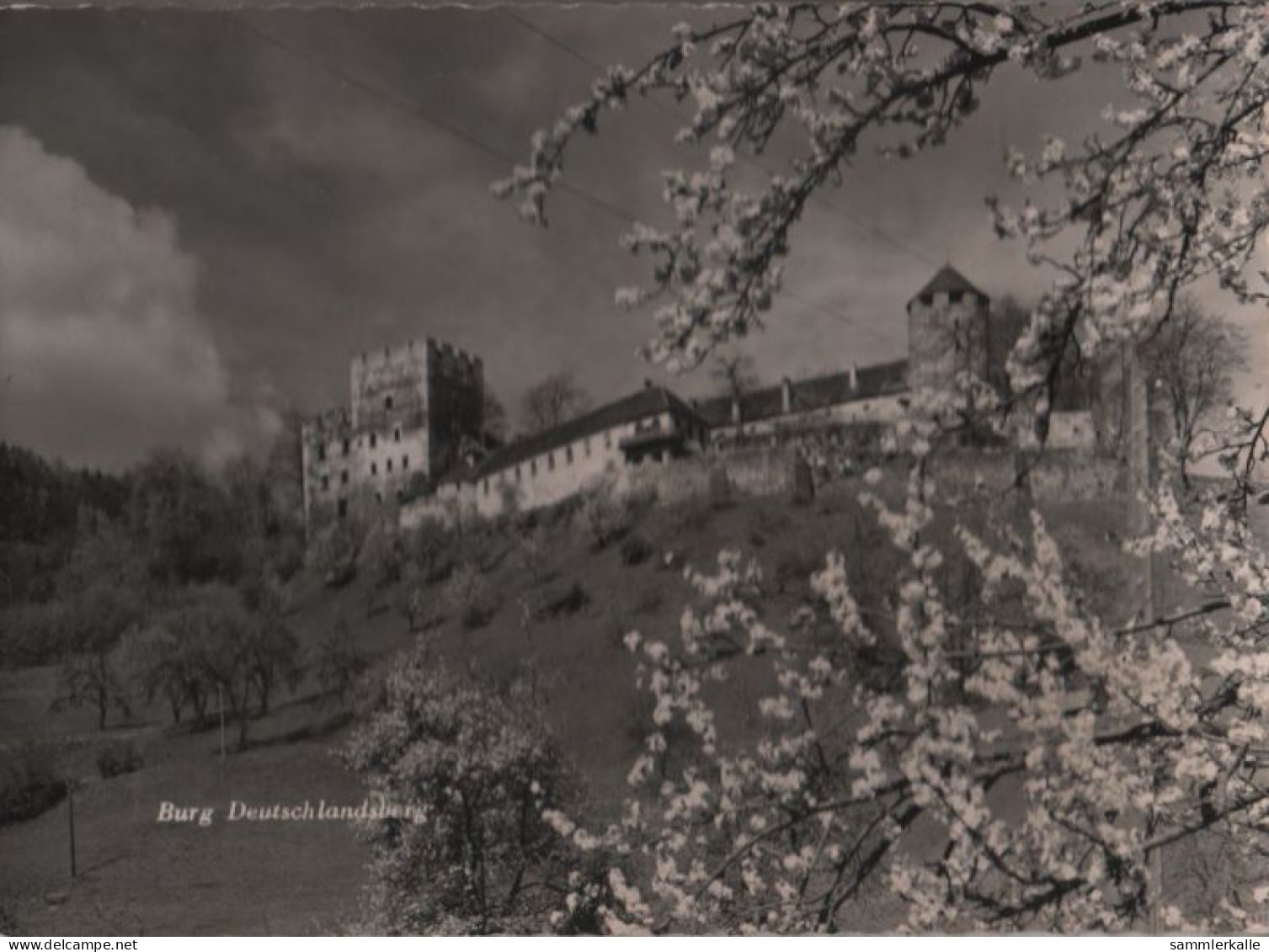 51842 - Österreich - Deutschlandsberg - Burg - 1965 - Deutschlandsberg