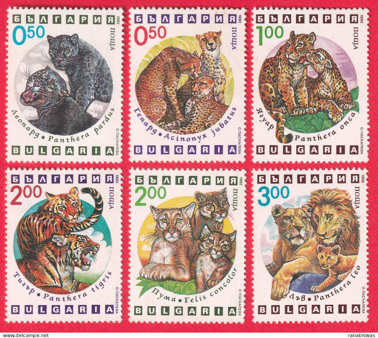 BULGARIA STAMPS 1992, SET OF 6, TIGER & LION, FAUNA, MNH - Unused Stamps