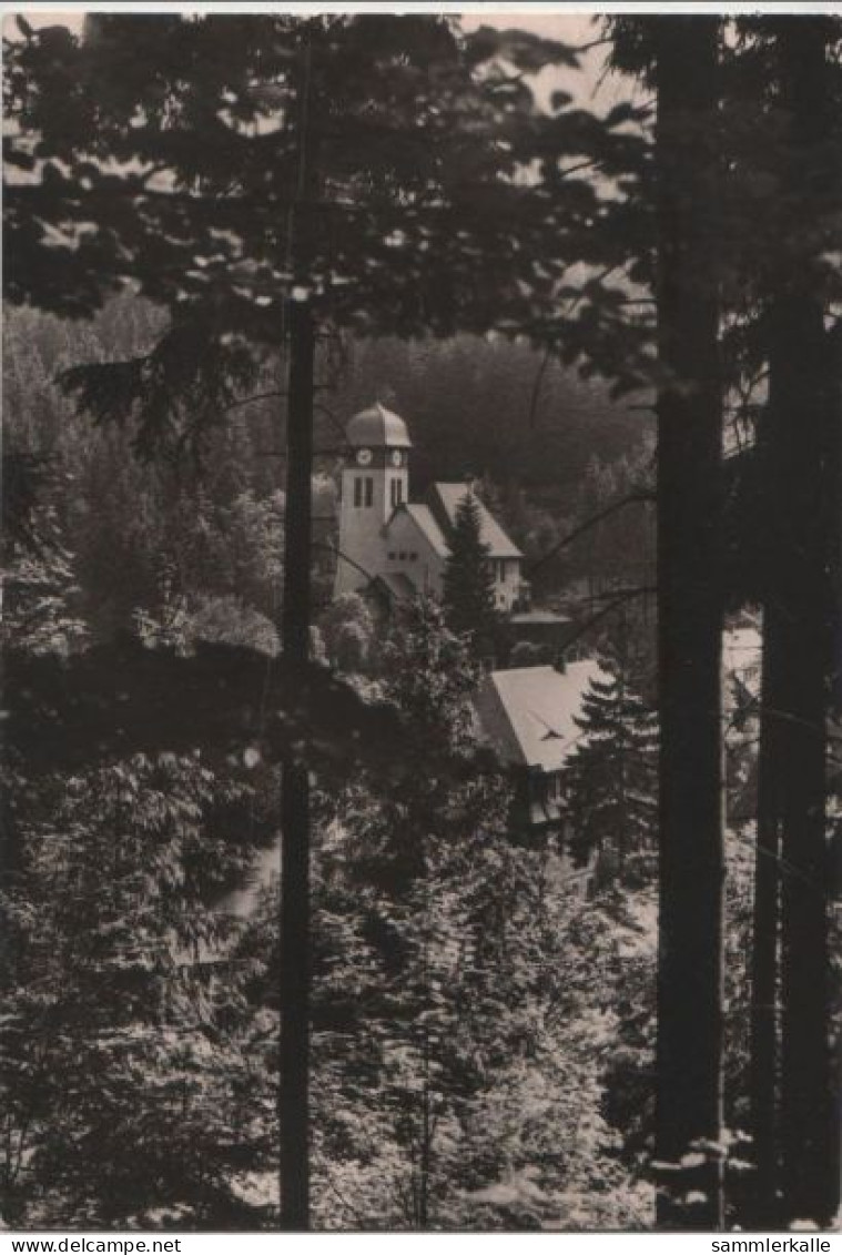 67940 - Altenberg-Kipsdorf - Walddurchblick - 1980 - Kipsdorf