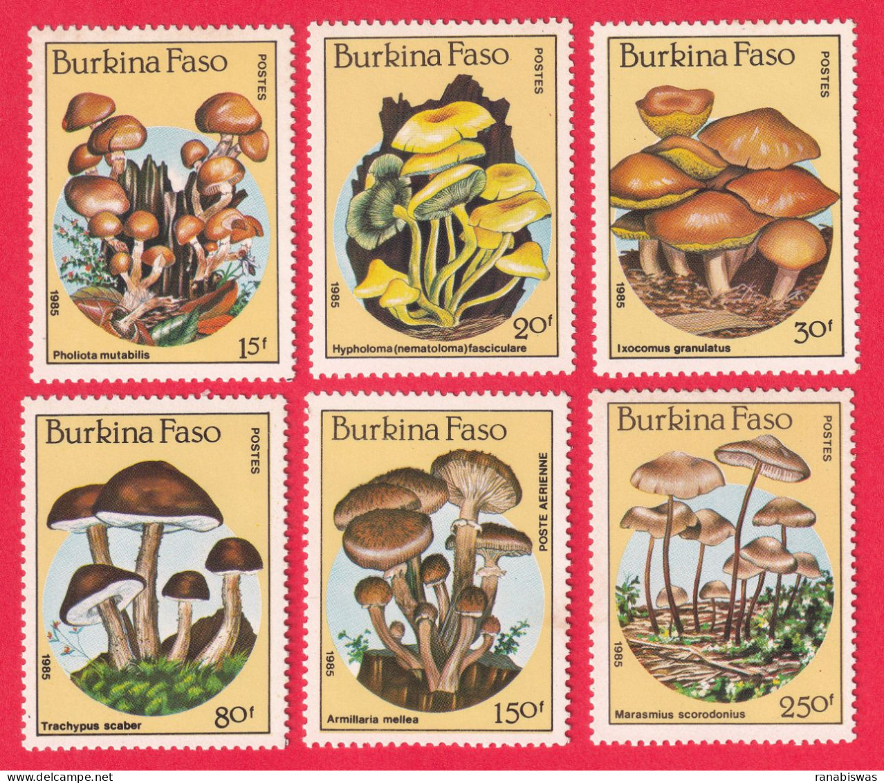 BURKINA FASO STAMPS 1985, SET OF 6, MUSHROOMS, FLORA, MNH - Burkina Faso (1984-...)