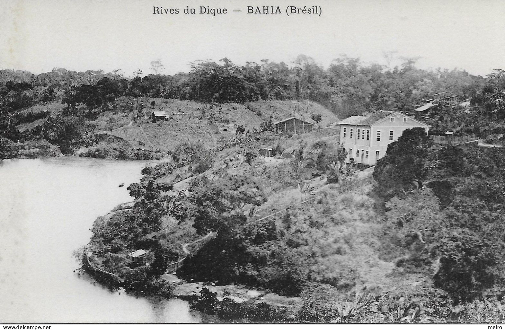 BRASIL - SALVADOR DA BAÍA - RIVES DU DIQUE - Salvador De Bahia