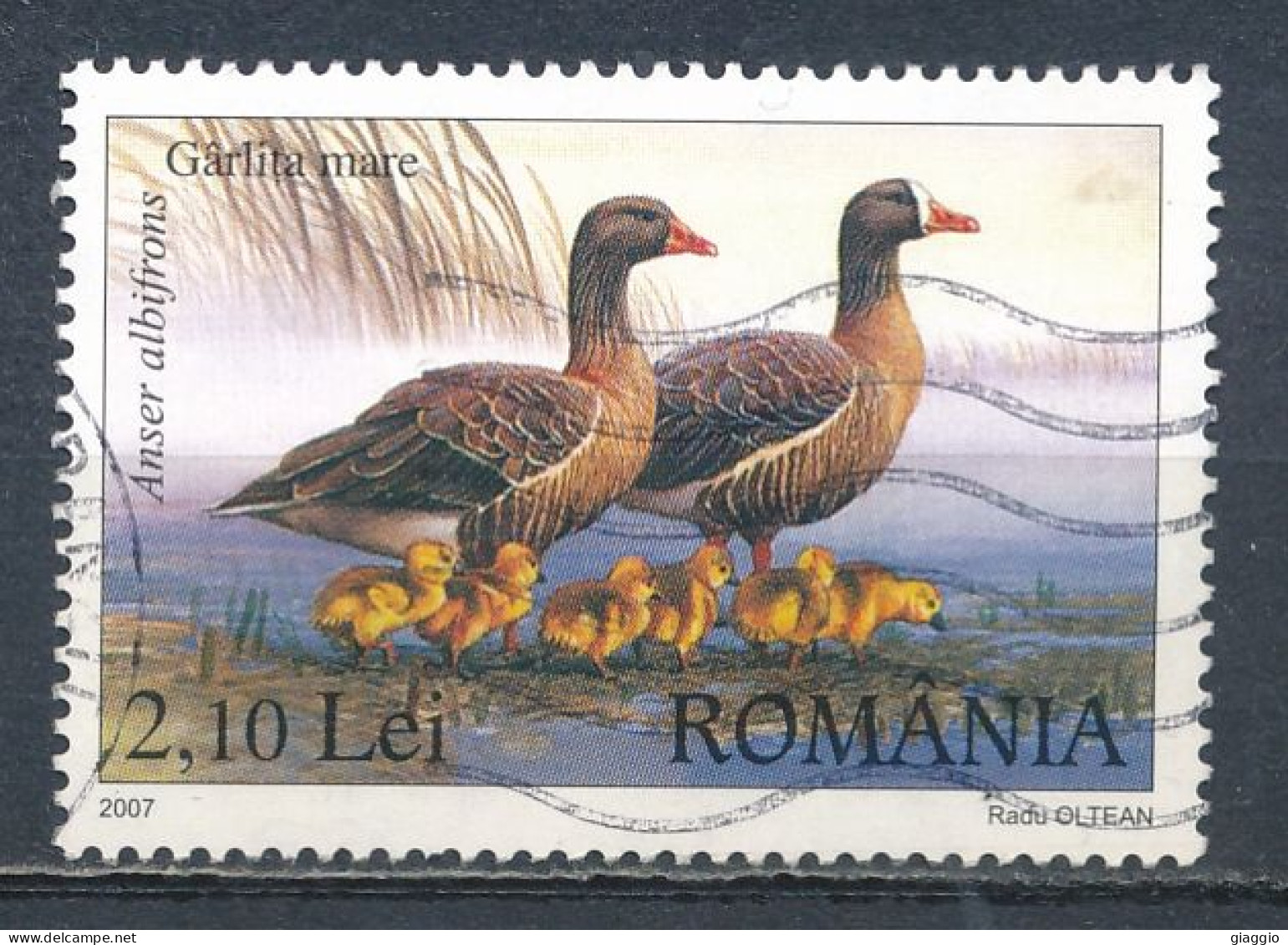 °°° ROMANIA - Y&T N° 5232 - 2007 °°° - Used Stamps