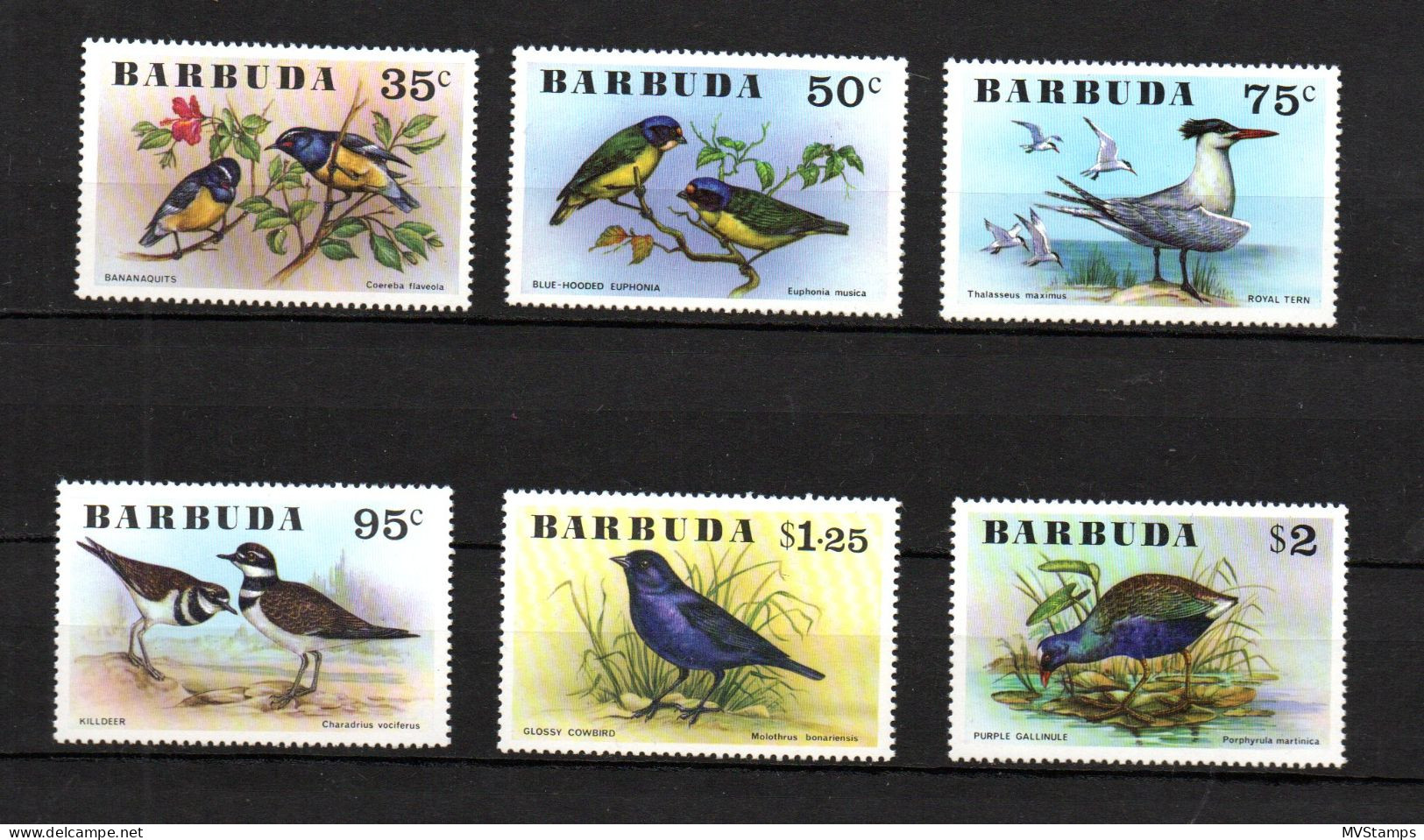 Barbuda 1976 Set Birds/Vogel Stamps (Michel 261/66) MNH - Antigua Und Barbuda (1981-...)