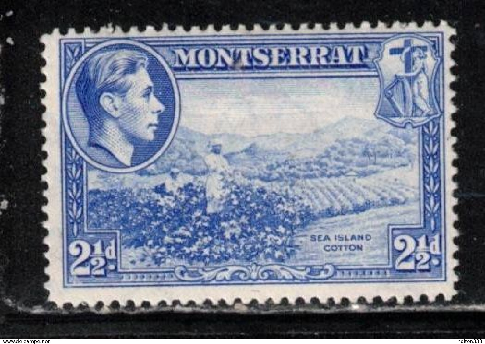 MONTSERRAT Scott # 96 MH - KGVI & Sea Island Cotton - Montserrat