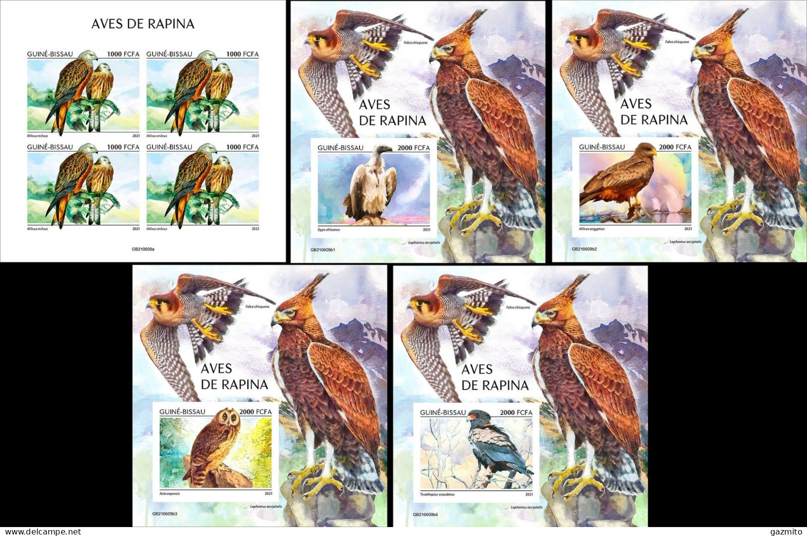 Guinea Bissau 2021, Animals, Bird Of Prey 2, 5BF IMPERFORATED - Adler & Greifvögel