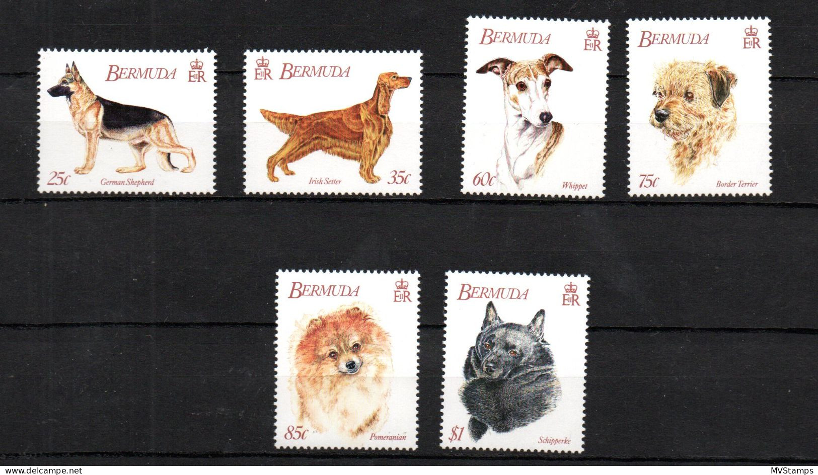 Bermuda 1992 Set Dogs/Hunde Stamps (Michel 621/26) MNH - Bermudes