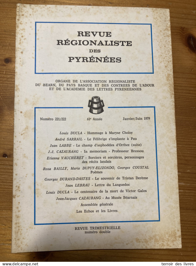 Revue Régionaliste Pyrénées 1979 221 Sorciers Sorcieres Recits Landais  - Midi-Pyrénées