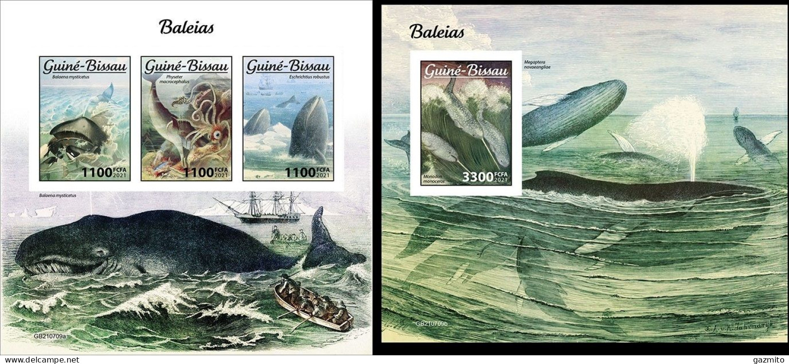 Guinea Bissau 2021, Animals, Whales I, 3val In BF+BF IMPERFORATED - Walvissen