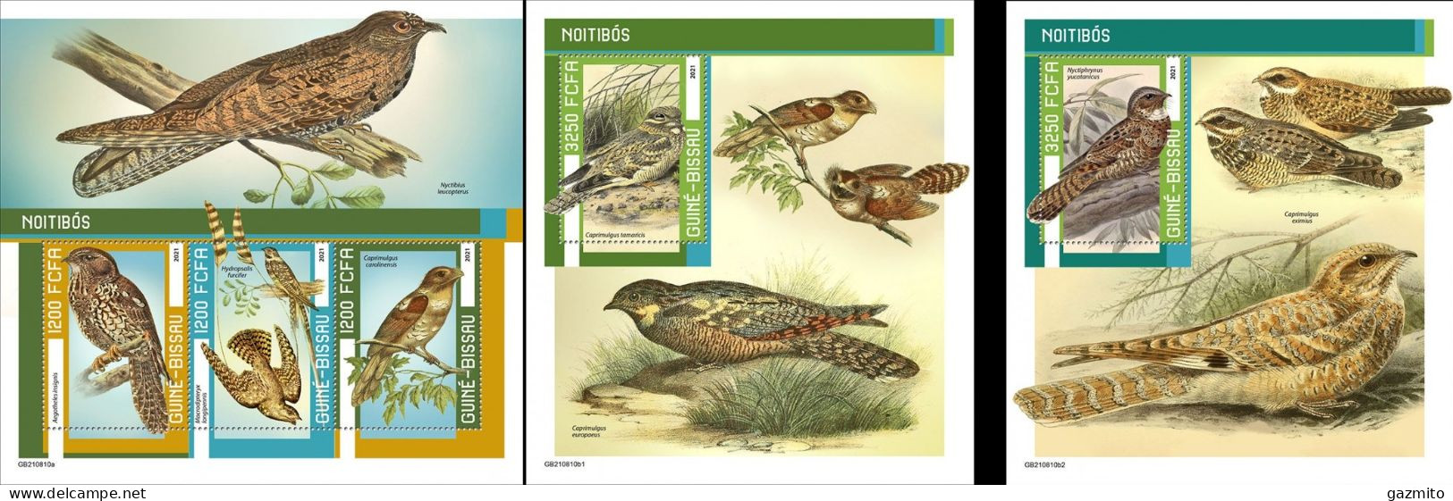 Guinea Bissau 2021, Animals, Nightjars, 3val In BF+2BF - Songbirds & Tree Dwellers