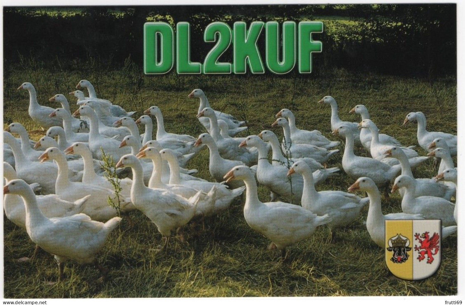 AK 208438 QSL - Germany - Lindholz - Radio Amateur