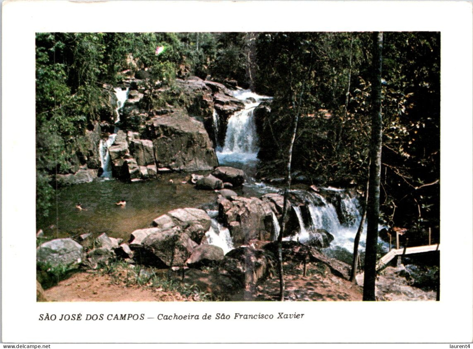 17-3-2024 (3 Y 16)  Brazil (posted To France Underpaid And Taxed In 1986 ?) Sao José Dos Campos (waterfall & Trees) - Arbres