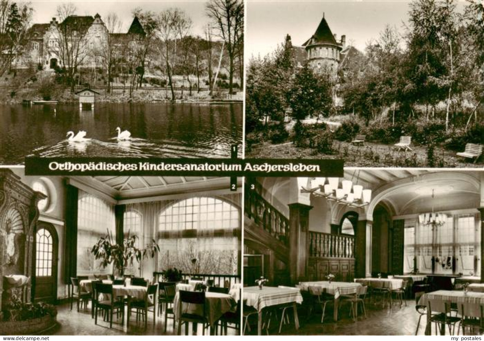 73924938 Aschersleben Orthopaedisches Kindersanatorium Parkteich Wintergarten Sp - Aschersleben