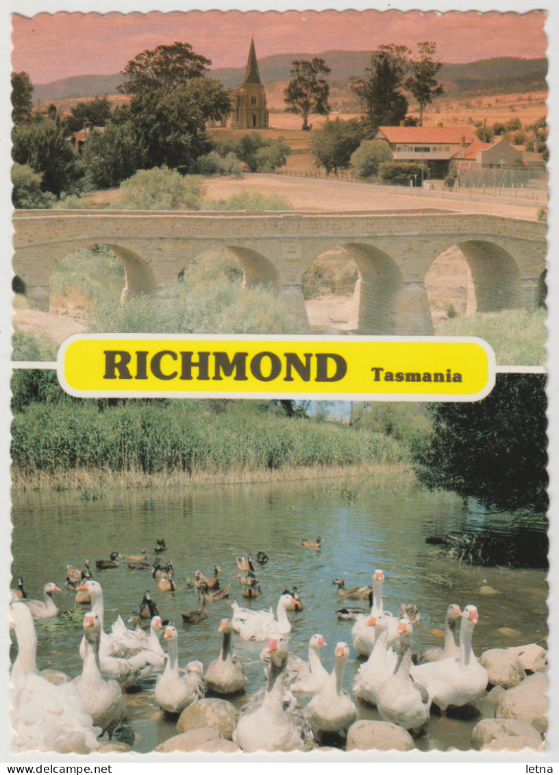 Australia TASMANIA TAS Bridge & Ducks RICHMOND Douglas DS174RP Dual View Postcard C1980s - Sonstige & Ohne Zuordnung