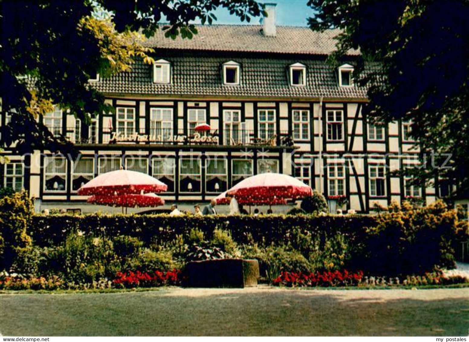 73721697 Bad Meinberg Hotel Zur Rose Bad Meinberg - Bad Meinberg