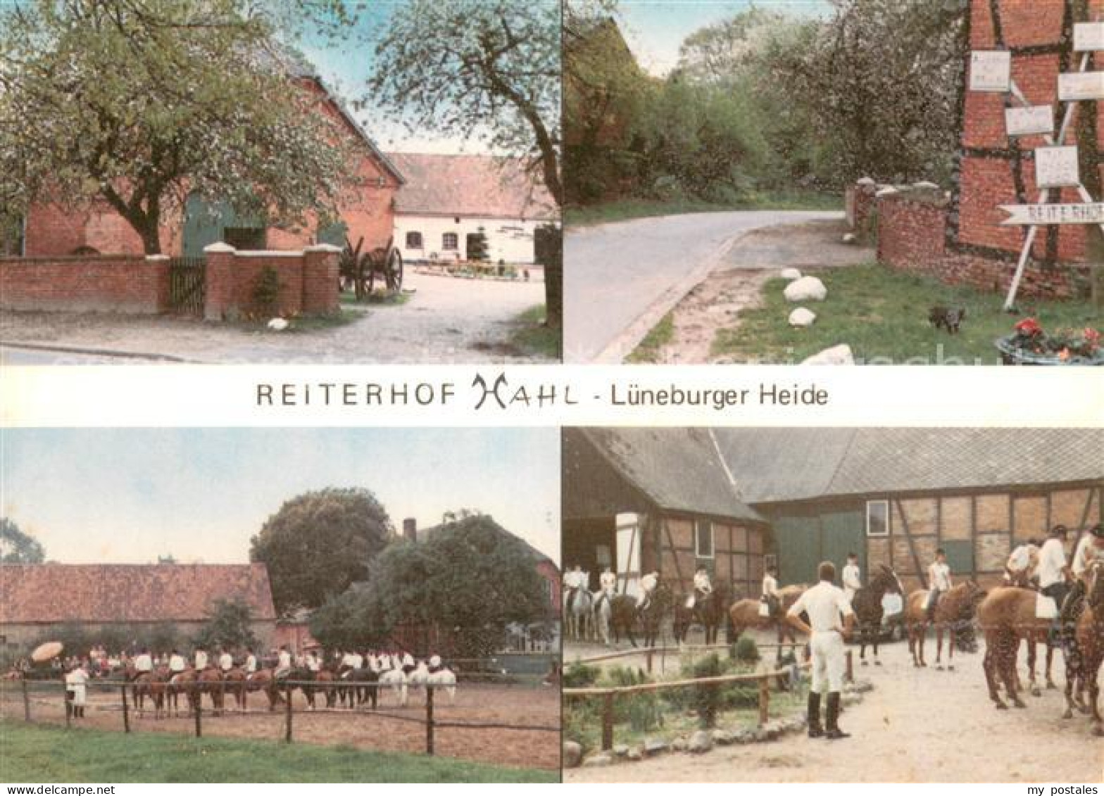 73721664 Lueneburger Heide Reiterhof Hahl Details Lueneburger Heide - Walsrode