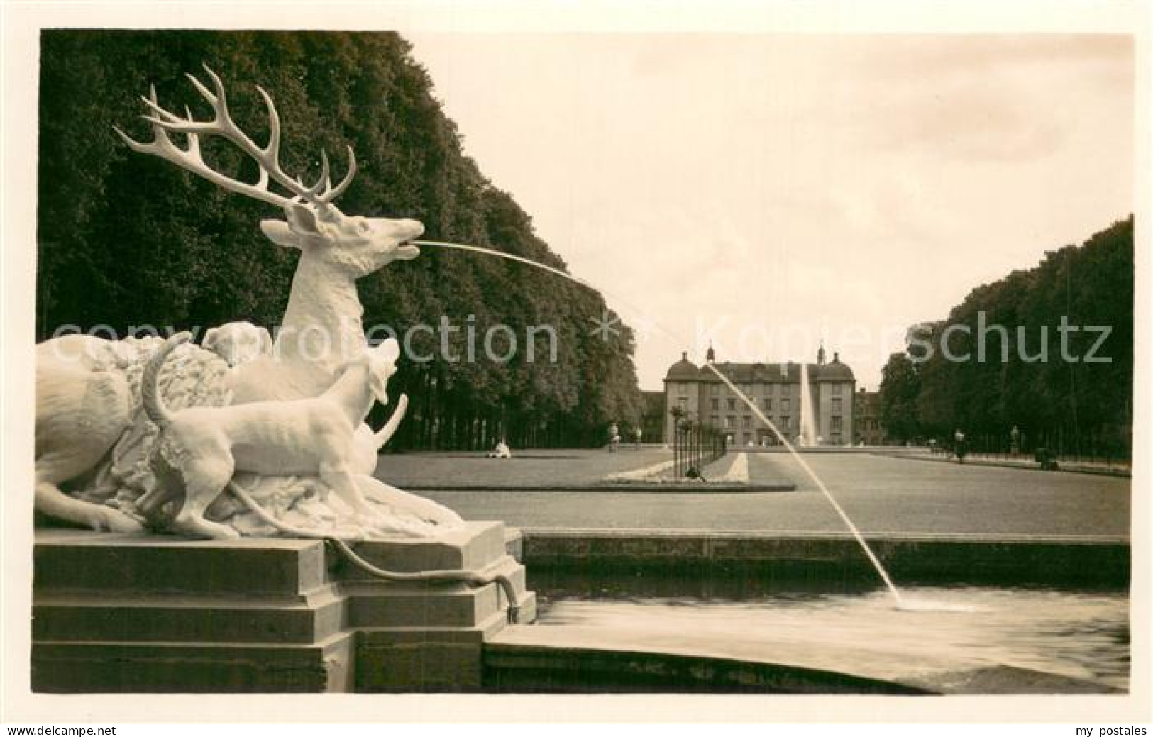 73721399 Schwetzingen Schloss Weisser Hirsch Brunnen Schwetzingen - Schwetzingen